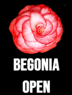 begonia